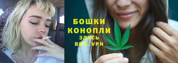 стаф Бородино