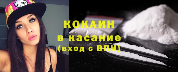 стаф Бородино