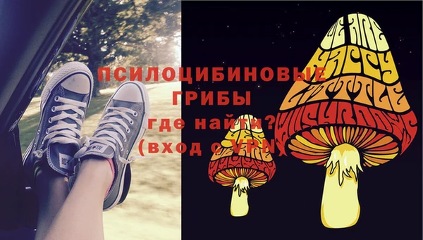 стаф Бородино