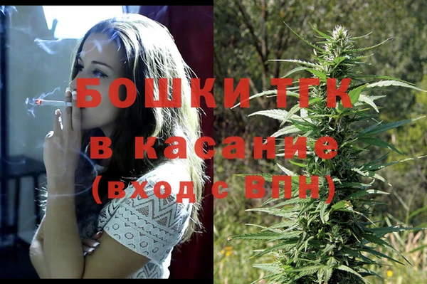 стаф Бородино