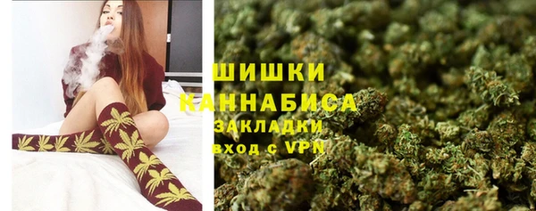 стаф Бородино