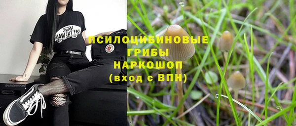хмурый Приозерск